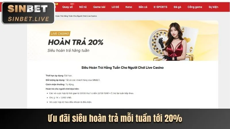 Hoàn trả cược bắn cá